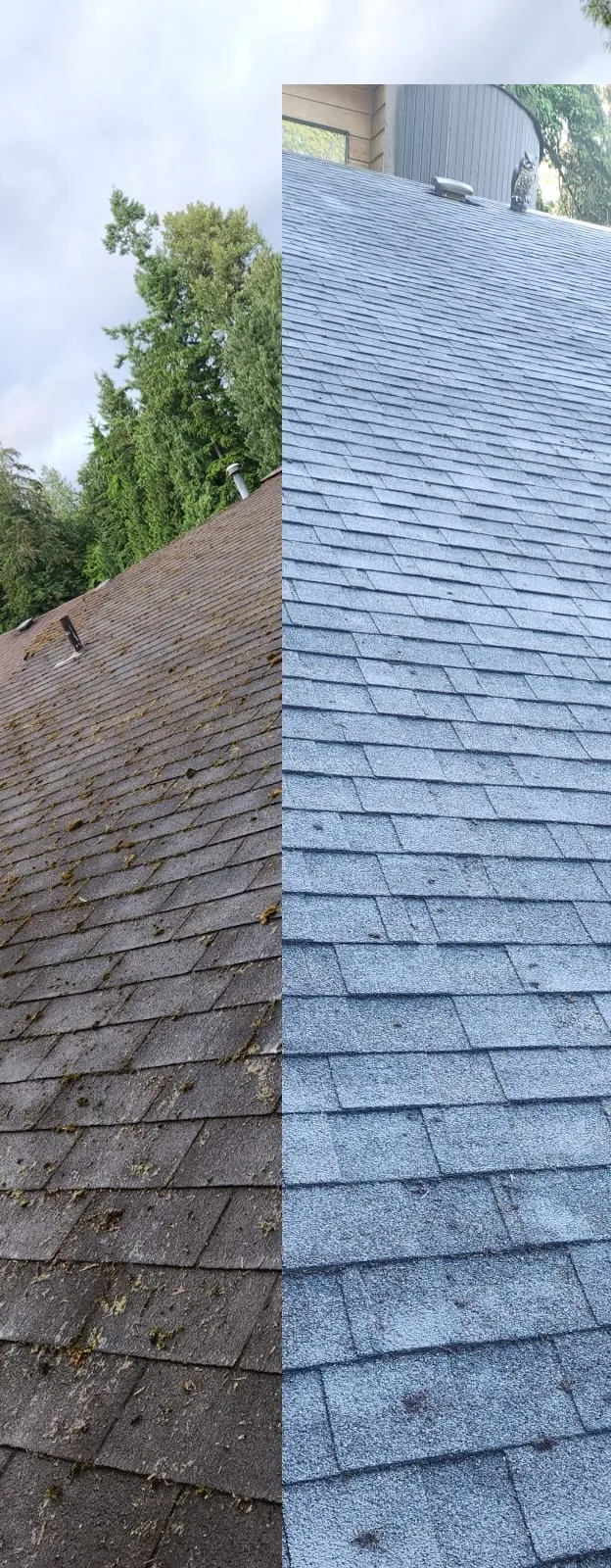 Before-and-after comparison of an asphalt-shingle roof treated with GoNano, from a British Columbia provider project gallery